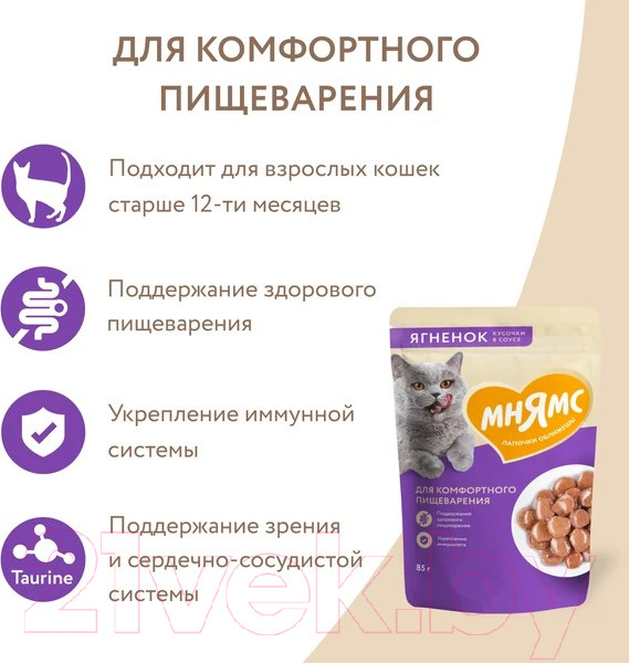Изображение товара Влажный корм для кошек Мнямс Кусочки в соусе с ягненком для комфортного пищеварения / 540171 (85г)