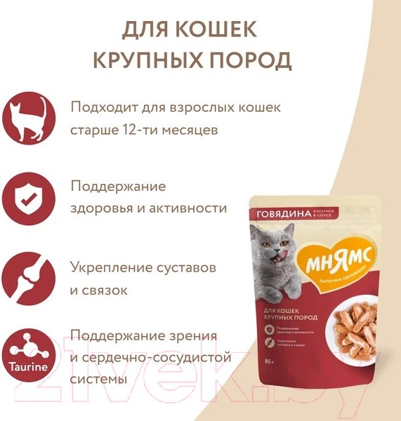 Изображение товара Влажный корм для кошек Мнямс Кусочки в соусе с говядиной для крупных кошек / 540188 (85г)