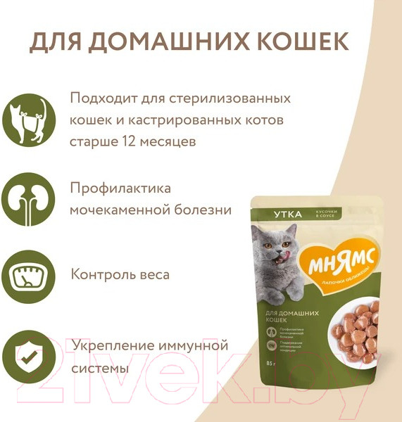 Изображение товара Влажный корм для кошек Мнямс Кусочки в соусе с уткой для домашних кошек / 540195 (85г)