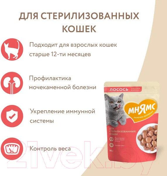 Изображение товара Влажный корм для кошек Мнямс Кусочки в соусе с лососем для стерилизованных / 176953 (85г)