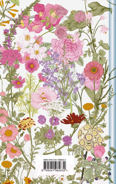 Изображение товара Книга Эксмо Аня и Долина Радуг / 9785041984632 (Монтгомери Л.М.)