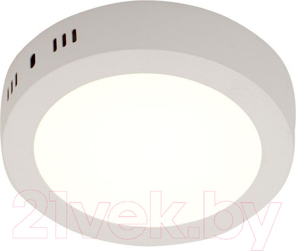 Изображение товара Потолочный светильник LED4U 316-12W