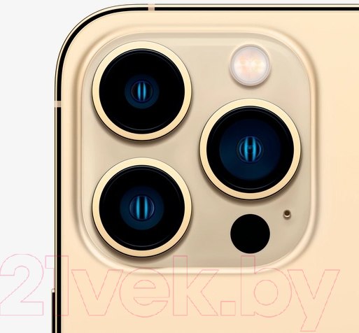 Изображение товара Смартфон восстановленный Apple iPhone 13 Pro 256GB Flip Грейд A (золото)