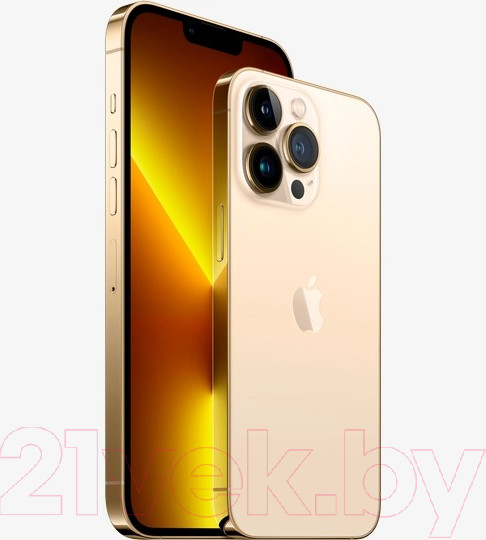 Изображение товара Смартфон восстановленный Apple iPhone 13 Pro 256GB Flip Грейд A (золото)