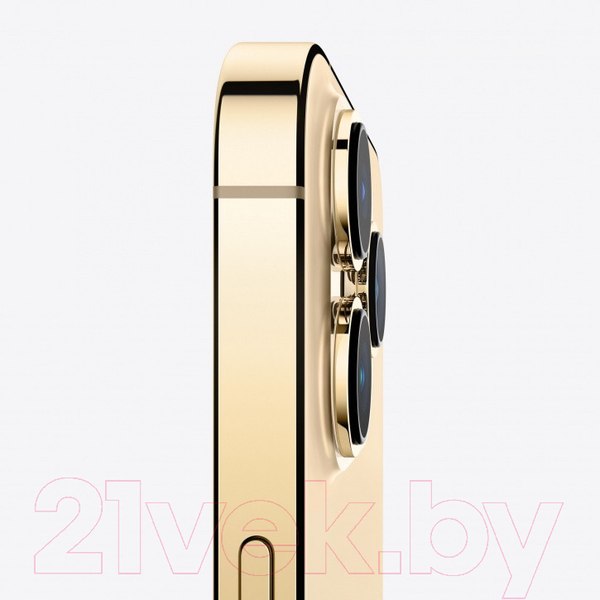 Изображение товара Смартфон восстановленный Apple iPhone 13 Pro Max 128GB Flip Грейд B (золото)