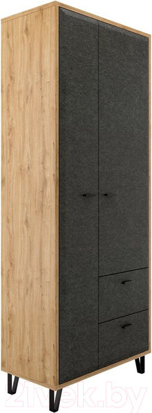 Изображение товара Шкаф Black Red White Grace SZF2D2S (дуб наварра/графит)