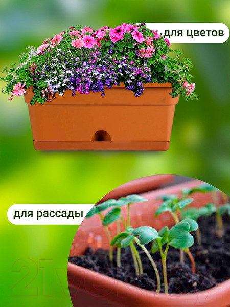 Изображение товара Ящик для рассады Darel ЯБ0140 (терракотовый)