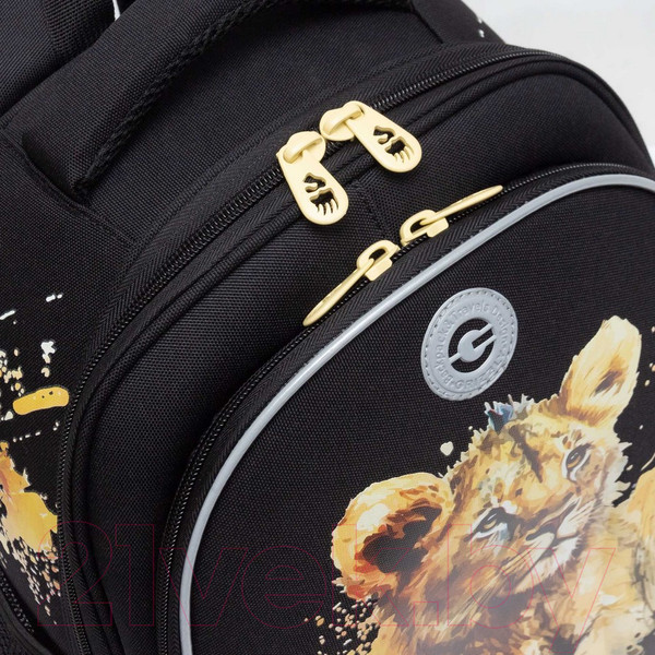 Изображение товара Школьный рюкзак Grizzly RAz-486-9 (черный)