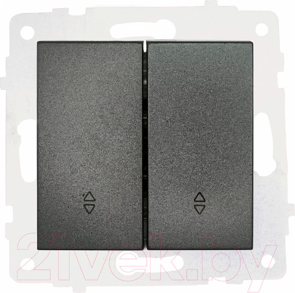 Изображение товара Выключатель Ovivo 600-000211-211 (дымчатый)