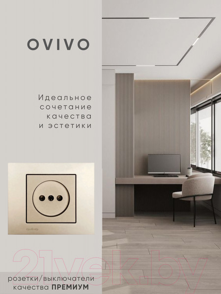 Изображение товара Розетка Ovivo 600-000313-215 (антрацит)