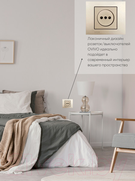 Изображение товара Розетка Ovivo 600-000313-215 (антрацит)