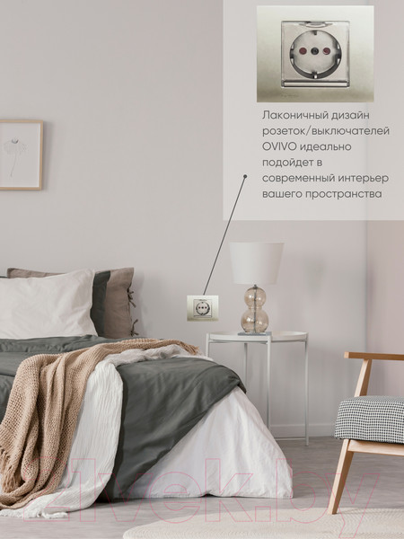 Изображение товара Розетка Ovivo 600-000313-243 (антрацит)