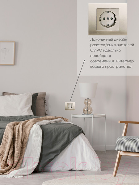 Изображение товара Розетка Ovivo 600-000313-217 (антрацит)