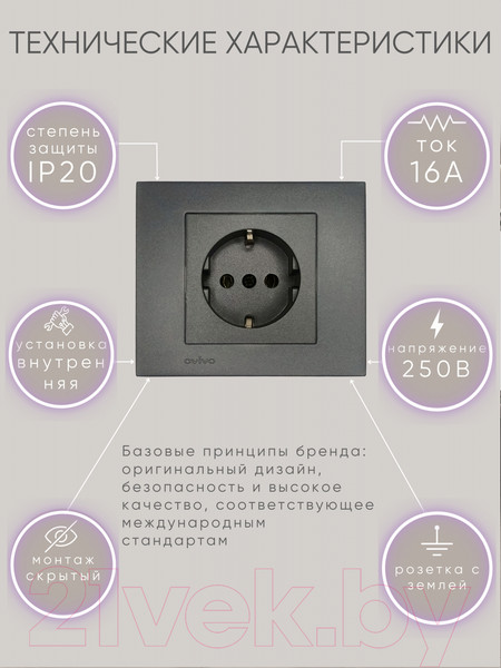 Изображение товара Розетка Ovivo 600-000311-217 (дымчатый)