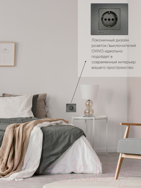 Изображение товара Розетка Ovivo 600-000311-217 (дымчатый)