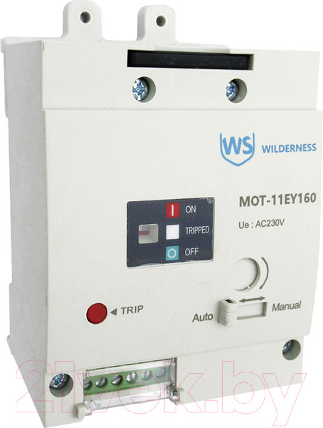 Изображение товара Привод моторный Wilderness Для DAM11EY-160M AC240/DC220В (R) / MOT-11EY160