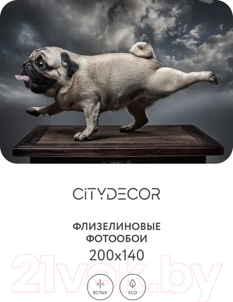 Изображение товара Фотообои листовые Citydecor Животные и Птицы 13 (200x140см)