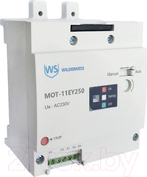 Изображение товара Привод моторный Wilderness Для DAM11EY-250M AC240/DC220В (R) / MOT-11EY250