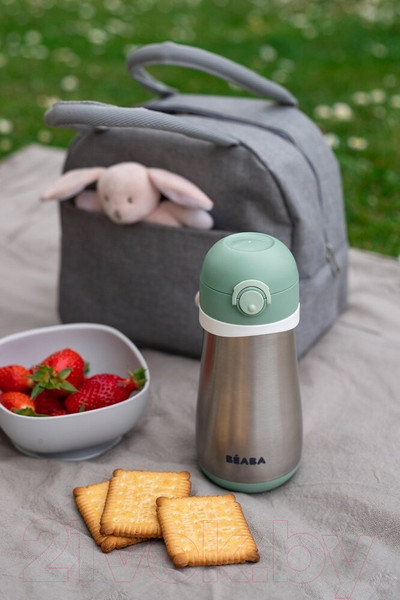 Изображение товара Поильник Beaba Gourde Inox + Anse Термос 913539 (350мл, Sauge)