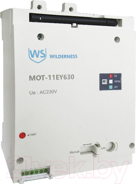 Изображение товара Привод моторный Wilderness Для DAM11EY-630M AC240/DC220В (R) / MOT-11EY630