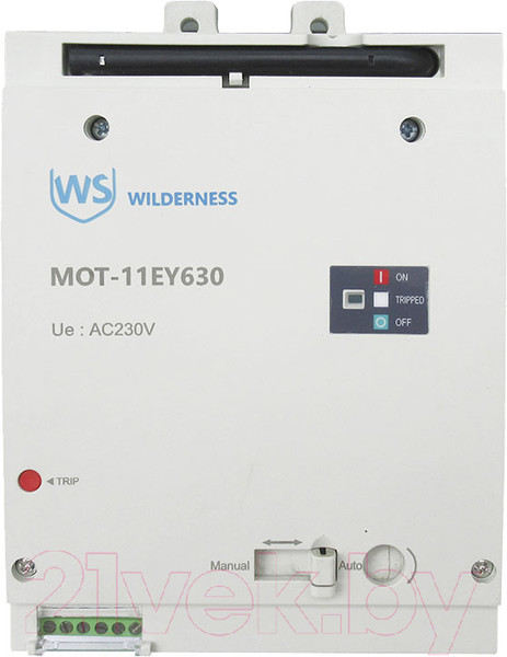 Изображение товара Привод моторный Wilderness Для DAM11EY-630M AC240/DC220В (R) / MOT-11EY630