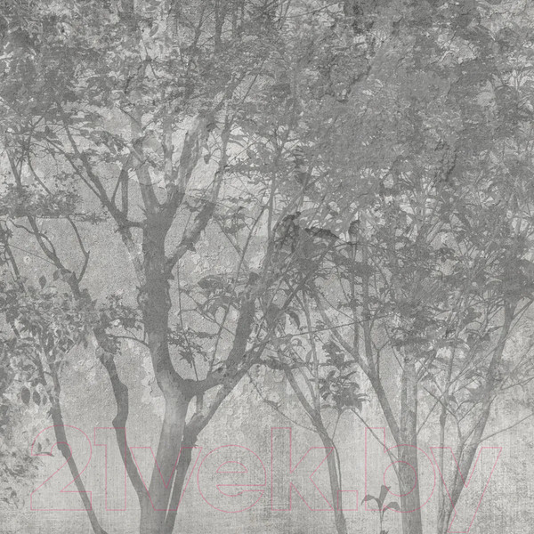 Изображение товара Фотообои листовые Citydecor Dark Side 34 (200x140см)