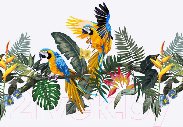 Изображение товара Фотообои листовые Citydecor Абстракция 394 (200x140см)