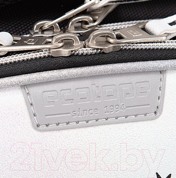 Изображение товара Школьный рюкзак Ecotope Kids Енот / 057-540Y-18-LCR