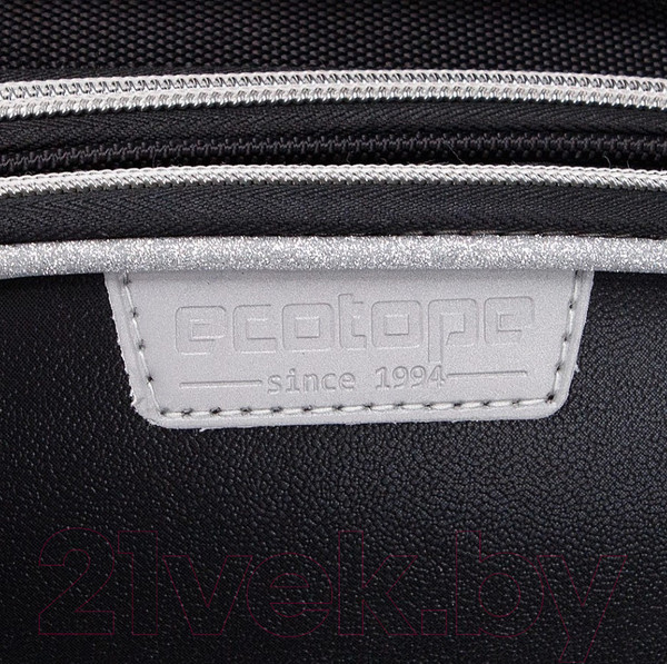 Изображение товара Школьный рюкзак Ecotope Kids Сердце / 057-540Y-21-BCL (черный)