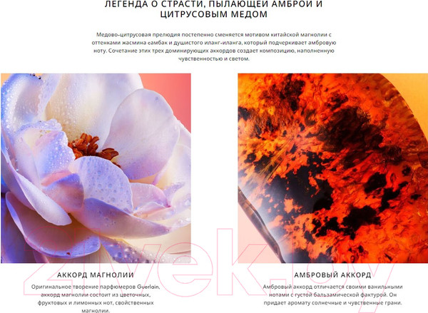 Изображение товара Парфюмерная вода Guerlain L' Instant De Guerlain (100мл)