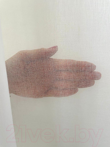 Изображение товара Гардина Soft Lines 306 (500x245, белый лен)