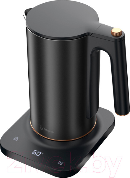 Изображение товара Электрочайник Evolution KP22151L