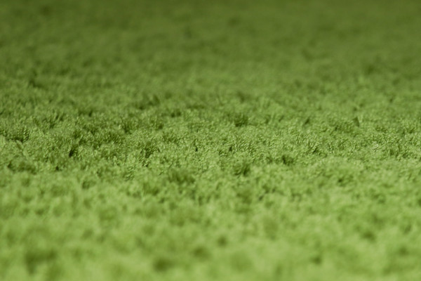 Изображение товара Ковер Витебские ковры Микрофибра 21С1-БК/ЭО 11000 20 (2х4)