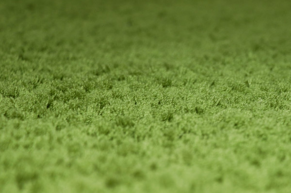 Изображение товара Ковер Витебские ковры Микрофибра 21С3-БК/ЭФ 11001 20 (2x2.9, светло-зеленый)