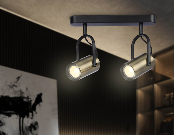 Изображение товара Спот Ambrella TA13194/2 BK/SB (черный/бронза)