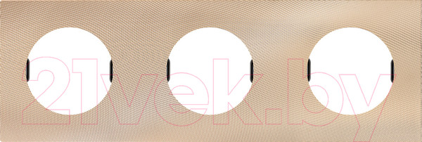 Изображение товара Рамка для выключателей и розеток TDM Байкал / SQ1819-0557 (шампань)