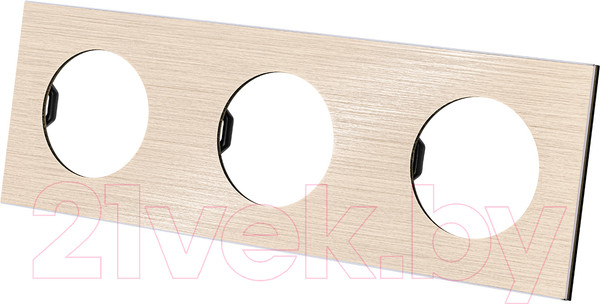 Изображение товара Рамка для выключателей и розеток TDM Байкал / SQ1819-0562 (шампань)