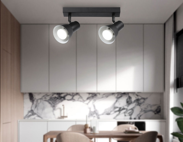 Изображение товара Спот Ambrella TA13117/2 BK/WH (черный/белый)