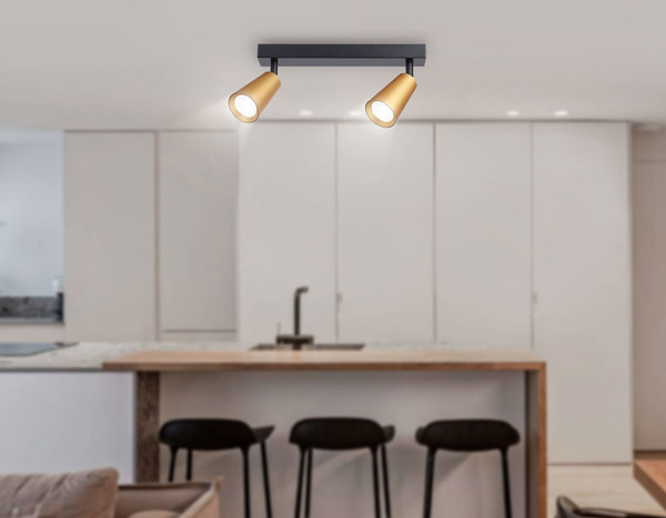 Изображение товара Спот Ambrella TA13146/2 BK/GD (черный/золото)