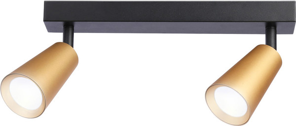 Изображение товара Спот Ambrella TA13146/2 BK/GD (черный/золото)