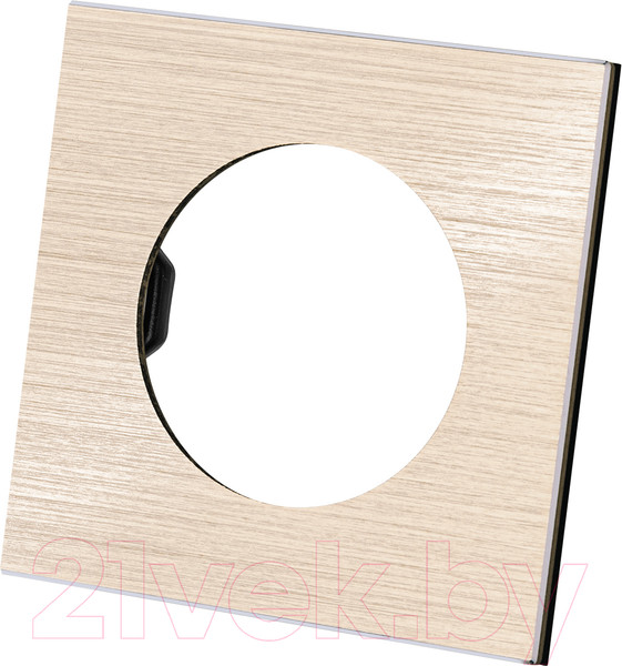 Изображение товара Рамка для выключателей и розеток TDM Байкал / SQ1819-0560 (шампань)