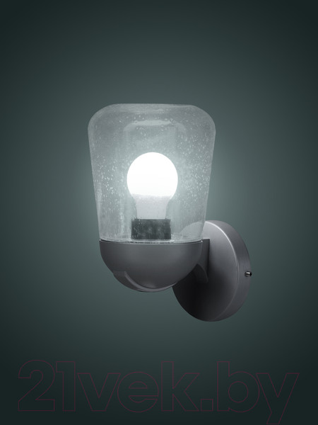 Изображение товара Светильник уличный TDM SQ0330-0239