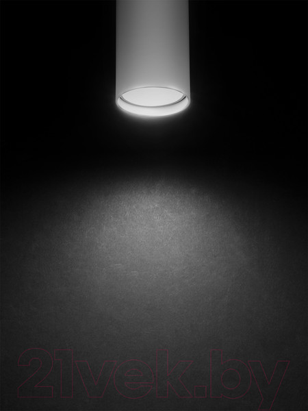 Изображение товара Потолочный светильник TDM SQ0356-0404