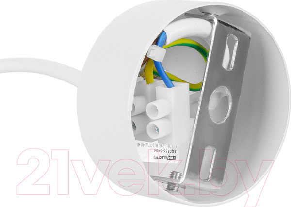 Изображение товара Потолочный светильник TDM SQ0356-0404