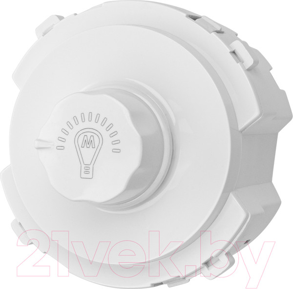 Изображение товара Диммер TDM SQ1819-0041