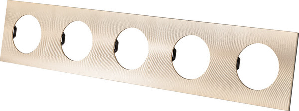 Изображение товара Рамка для выключателей и розеток TDM Байкал / SQ1819-0559 (шампань)