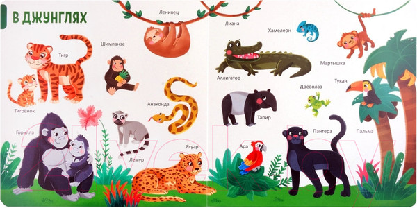 Изображение товара Развивающая книга Malamalama 150 первых слов. Животные / 9785002300136