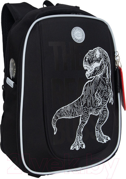 Изображение товара Школьный рюкзак Grizzly RAf-493-2 (черный)