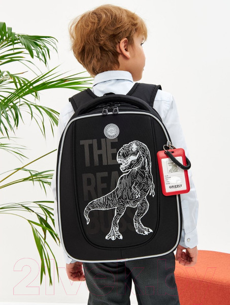 Изображение товара Школьный рюкзак Grizzly RAf-493-2 (черный)