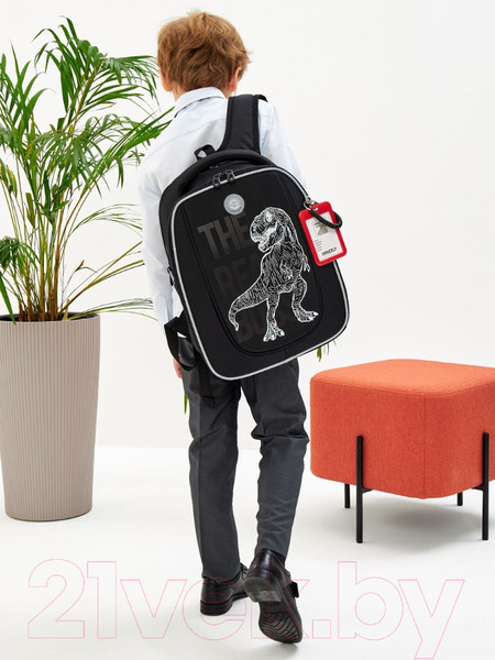 Изображение товара Школьный рюкзак Grizzly RAf-493-2 (черный)